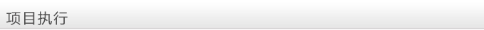 項目執行(xíng)